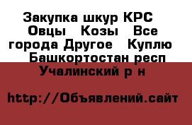 Закупка шкур КРС , Овцы , Козы - Все города Другое » Куплю   . Башкортостан респ.,Учалинский р-н